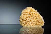 Vegas Glass Душевая дверь в нишу 92.5x189h см, проф. бронза стекло 6мм прозр. E2P 90 05 01