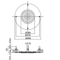 Maier Hydrotherapy Верхний душ Ø30 см, потолочный, цвет: хром 80 D300CR
