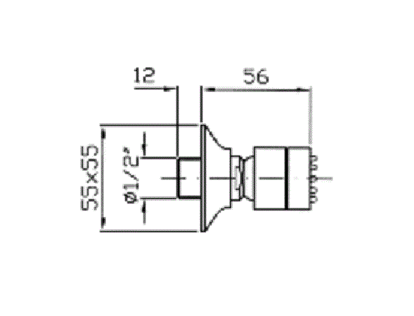 Zucchetti Bellagio Форсунка для душа, настенная, цвет: хром Z92897