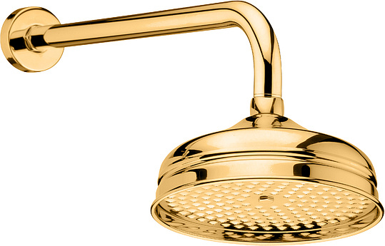 Webert Karenina Верхний душ 46х20хh20,7 см, цвет: золото AC0014010