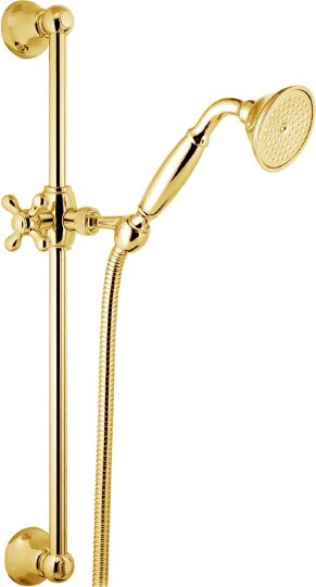 Webert Comfort Душевой гарнитур 20х25хh54,6 см, цвет: золото AC0384010