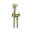 Cisal Shower Гигиенический душ, со шлангом 120 см, вывод с держателем, цвет: 24k gold CY00790024