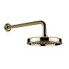 Gessi Venti20 Верхний душ 22,9 см 1 вид струи, кронштейн настенный 38,9 см, цвет: brass PVD 65148#710