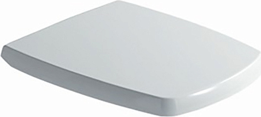 Крышка-сиденье Galassia Sa02  с микролифтом, петли хром 8977