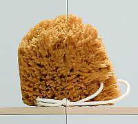 Душевой уголок Radaway Eos KDJ 80 прозрачное стекло L 37513-01-01NL