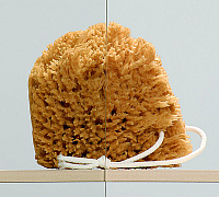 Душевая дверь в нишу Radaway Eos DWS 140 L 37993-01-01NL