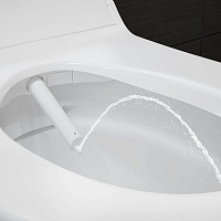 Geberit AquaClean Tuma Comfort Унитаз-биде подвесной безобод. с крышкой микролифт цвет: белый глянц. 146.294.11.1