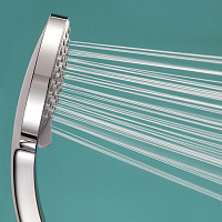 Душевая лейка Jacob Delafon Citrus E12902-CP