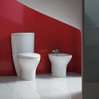 Чаша для унитаза-компакта Jacob Delafon Presquile 19077 19077-00