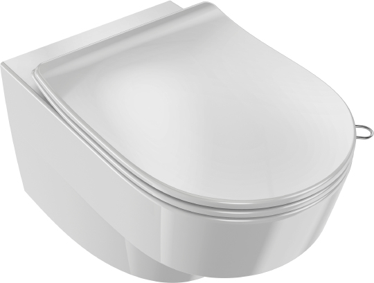 Jacob Delafon Odeon Rive Gauche Унитаз подвесной, безободковый, 54х36 см, цвет: белый EDR102-00  EDR102-00