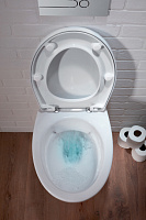 Унитаз подвесной Jacob Delafon Patio  безободковый EDV102-00