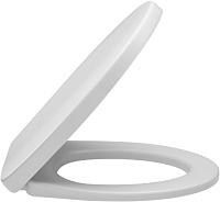 Унитаз подвесной Jacob Delafon Patio  безободковый EDV102-00