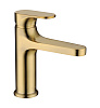 Boheme Spectre Смеситель для раковины без донного клапана, длина излива 12,7 см, цвет: gold 451-G
