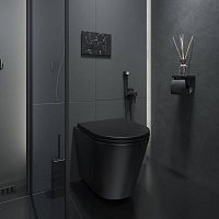 Iddis Calipso Унитаз подвесной, с сиденьем, цвет: черный CALR3BMi25