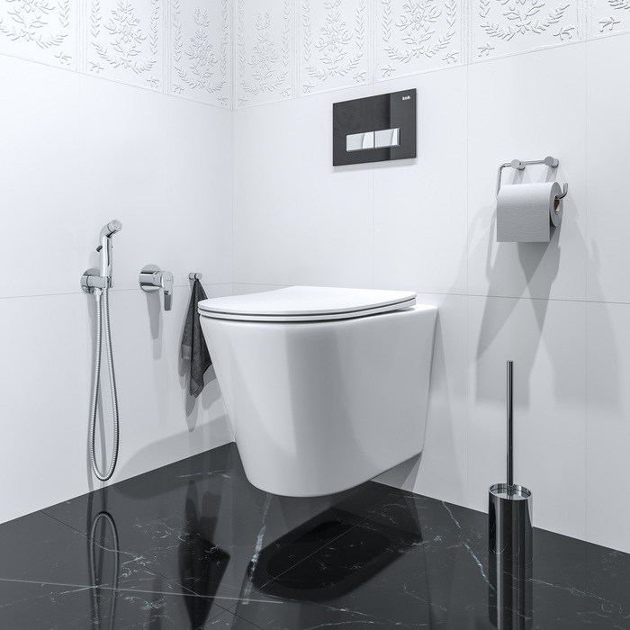 Iddis Ray Гигиенический душ, цвет: хром RAYSBR2i08