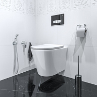 Iddis Ray Гигиенический душ, цвет: хром RAYSBR2i08