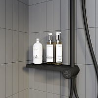 Iddis Ray Душевая стойка с верхним душем 30х36х115h см, цвет: черный RAYMS3Fi76