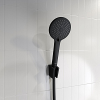 Iddis Лейка для душа, цвет: черный RAY3F0Bi18