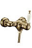 Boheme Medici Ripresa Смеситель для душа без излива, цвет: bronze 304