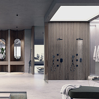 Bossini Apice Верхний душ d28 см, 1 вид струи, кронштейн настенный 33 см, цвет: mat black H70430H.073
