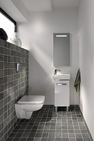 Geberit Renova Compact Зеркало 40x80h см, с подсветкой, цвет: хром Y862340000