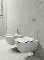 GSI Pura Унитаз подвесной 55x36 см безободковый, смыв swirlflush, цвет: белый матовый 881509