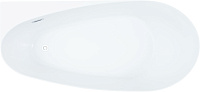 Allen Brau Priority Акриловая ванна угловая 170x80 см, цвет: белый матовый 2.31002.21