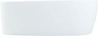 Allen Brau Priority Акриловая ванна угловая 170x80 см, цвет: белый матовый 2.31002.21