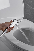 Allen Brau Infinity Гигиенический душ со смесителем и внутренней частью, цвет: хром 5.21005-00