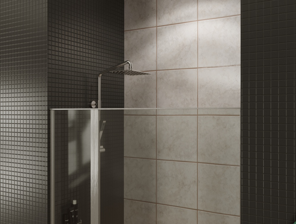 Allen Brau Priority Душевая дверь, распашная 120x200h см, цвет: серебро браш 3.31032.BA