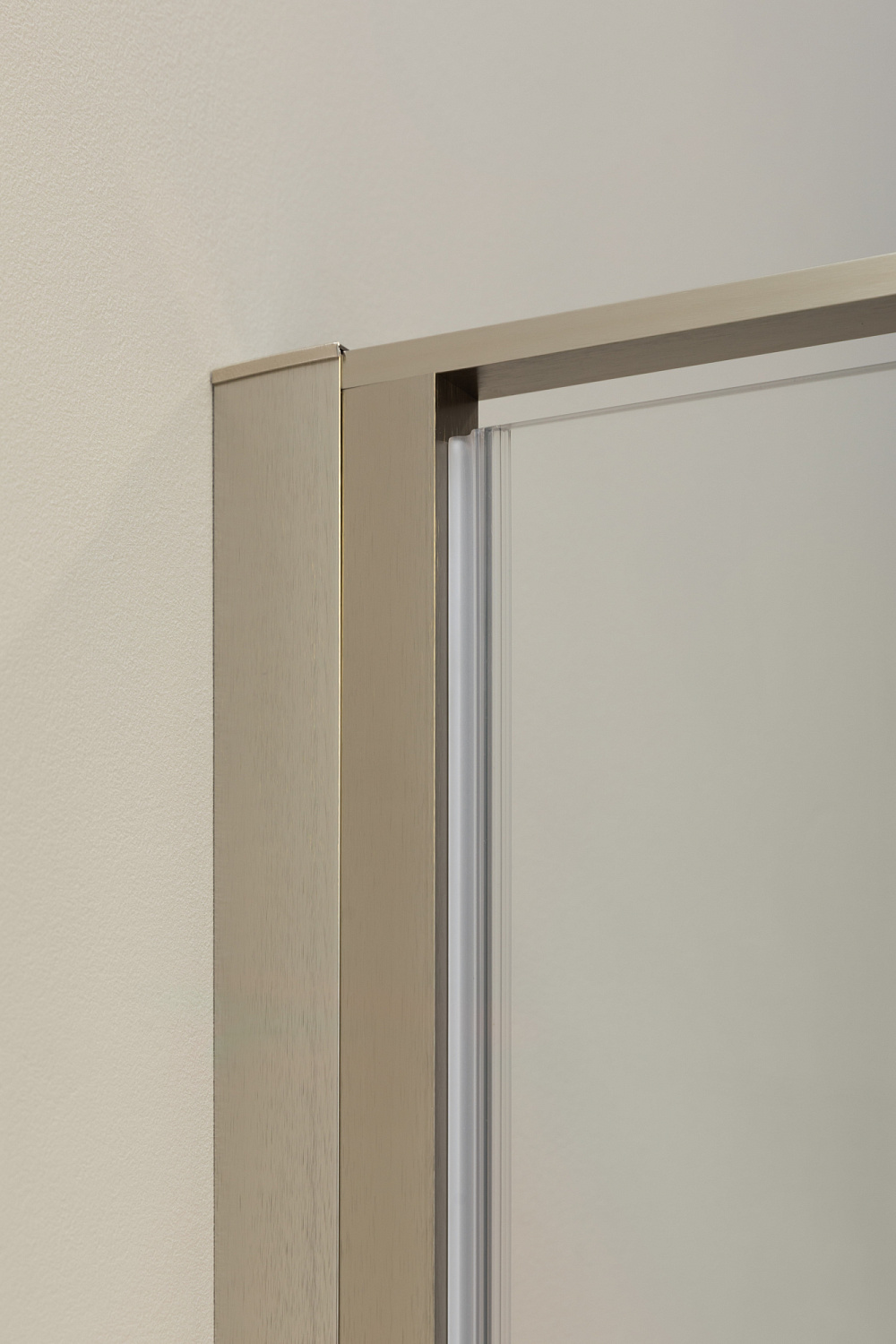 Allen Brau Priority Душевая дверь, распашная 120x200h см, цвет: серебро браш 3.31032.BA
