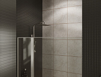 Allen Brau Priority Душевая дверь, распашная 120x200h см, цвет: серебро браш 3.31032.BA