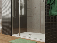 Allen Brau Priority Душевая дверь, распашная 120x200h см, цвет: серебро браш 3.31032.BA