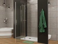 Allen Brau Priority Душевая дверь, распашная 120x200h см, цвет: серебро браш 3.31032.BA