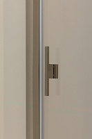 Allen Brau Priority Душевая дверь, распашная 120x200h см, цвет: серебро браш 3.31032.BA