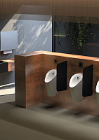 Geberit Preda Писсуар подвесной 31x37x69,5h см, сенсорный от батарек, цвет: белый 116.073.00.1