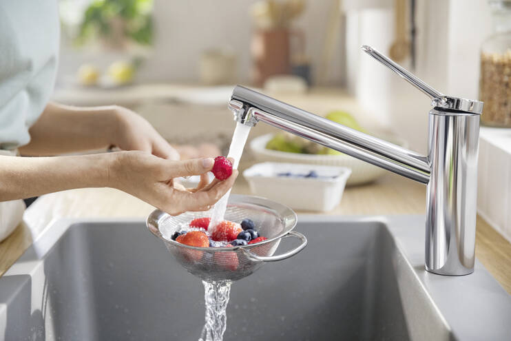 Hansgrohe Zesis Смеситель для кухни, цвет: хром 74811000