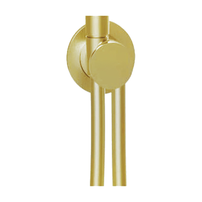 Almar Modular Round Шланговое подключение для лейки с держателем, цвет: brushed high brass E192000.HB