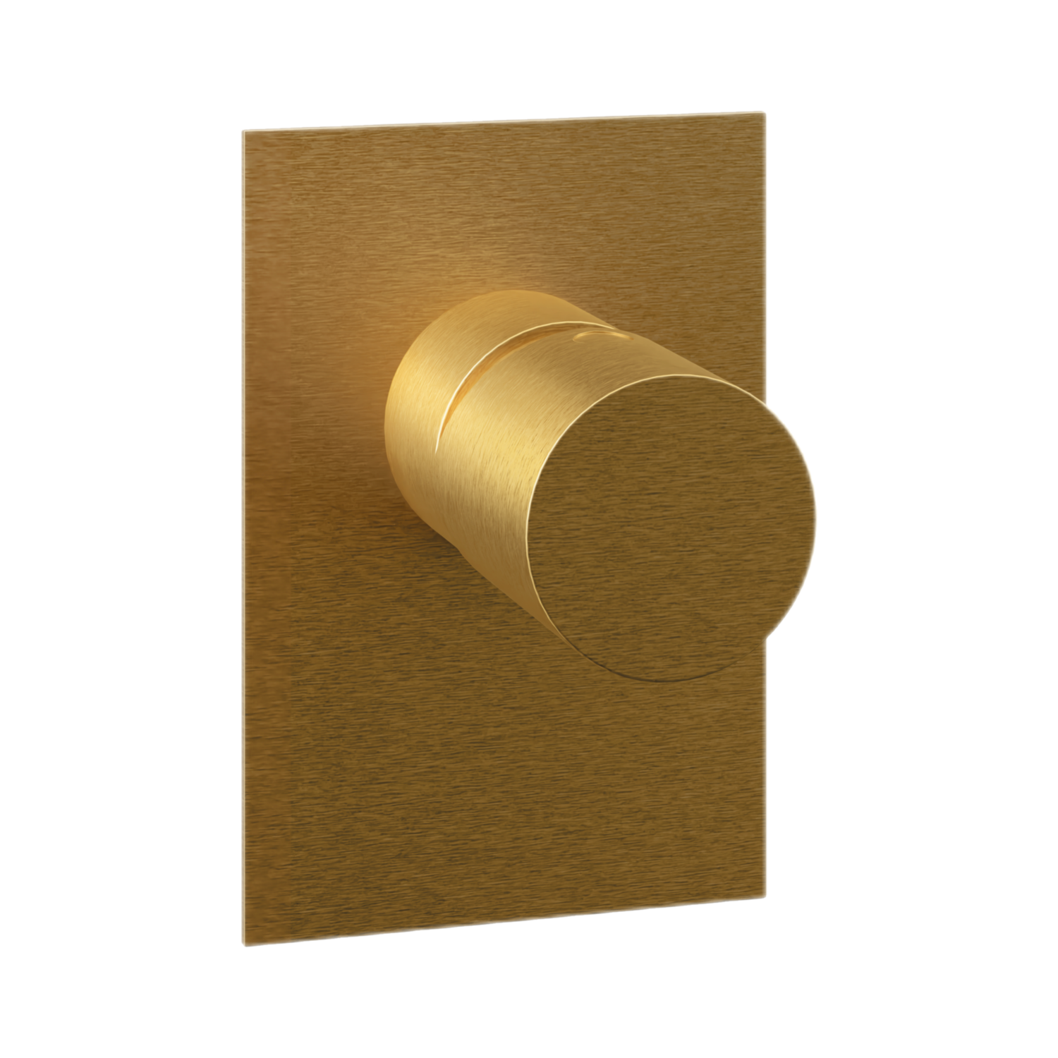 Remer Edge Смеситель для душа встраиваемый, 1 потребитель, с скрытой частью, цвет: oro spazzolato EG530BG