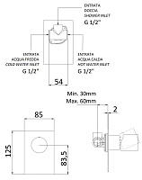Remer Edge Смеситель для душа встраиваемый, 1 потребитель, с скрытой частью, цвет: oro spazzolato EG530BG