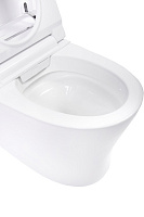 Panasonic CH Унитаз-биде приставной электронный, автомат. крышка с подогревом, фен, цвет: белый 2710