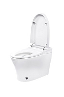 Panasonic CH Унитаз-биде приставной электронный, автомат. крышка с подогревом, фен, цвет: белый 2710