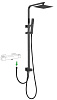 Allen Brau Infinity Душевая стойка: перекл. потоков, руч. и вер. душ, шланг 150 см, цвет: черный мат 5.21031-31