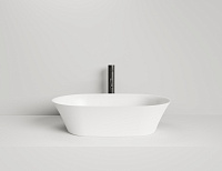 Salini Mona Раковина накладная овальная 60x39x16,5h см, глянцевый цвет: RAL полностью 110811GRF