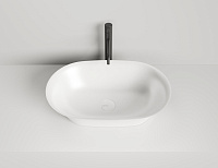 Salini Mona Раковина накладная овальная 60x39x16,5h см, глянцевый цвет: RAL полностью 110811GRF