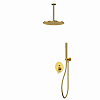 Whitecross Y Душевой комплект встраиваемый: ручной душ, шланг, верхний душ 30 см цвет: золото глянц. YSET12GL