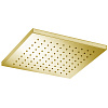 Almar Square Верхний душ без кронштейна 25х25 см, 1 режим, цвет: polished gold E044229.GO