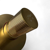 Paini Cox Grip Cмеситель для душа встраиваемый, с внутренней частью, цвет: золото брашированное 7GPJ690