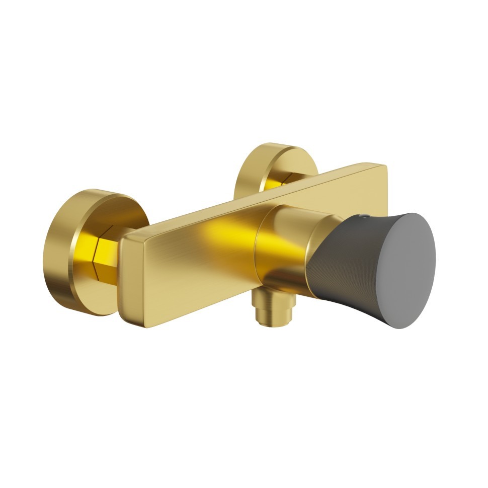 Paini Domus Смеситель для душа на 2 отверстия без излива, цвет: золото брашированное 18PJ511PZ