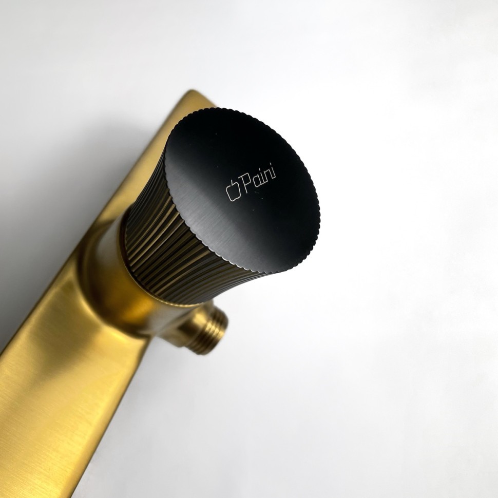 Paini Domus Смеситель для душа на 2 отверстия без излива, цвет: золото брашированное 18PJ511PZ